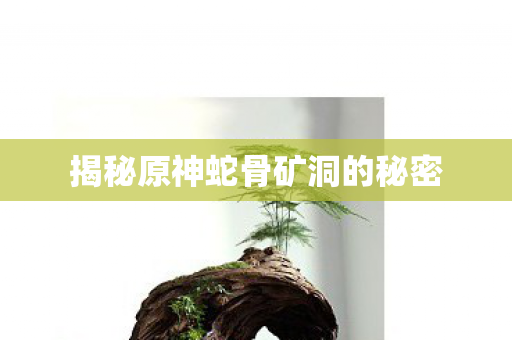 揭秘原神蛇骨矿洞的秘密图片