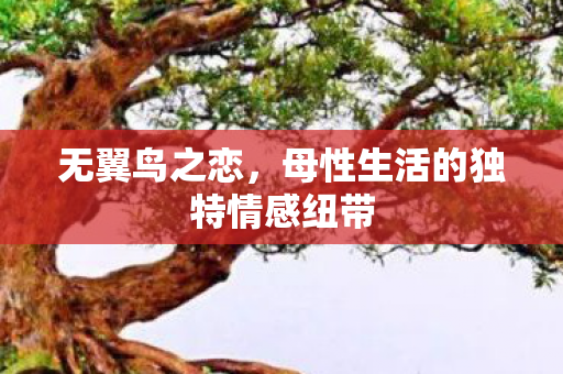母性生活的独特情感纽带图片