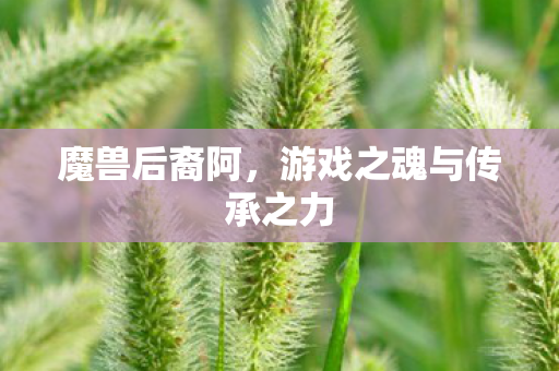 游戏之魂与传承之力图片