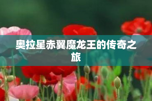 奥拉星赤翼魔龙王的传奇之旅图片