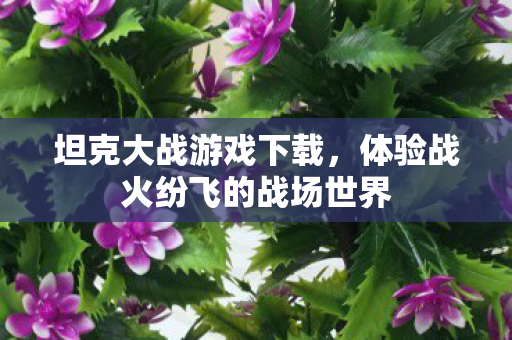 体验战火纷飞的战场世界图片