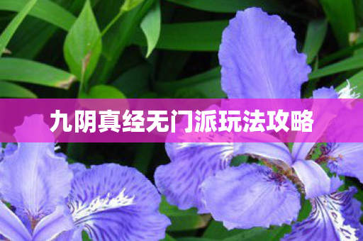 九阴真经无门派玩法攻略图片