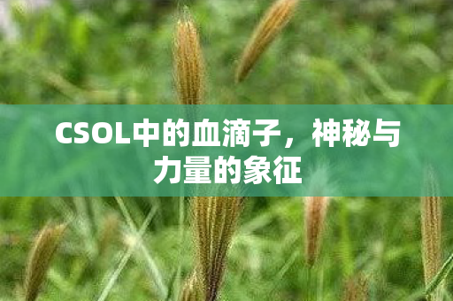 CSOL中的血滴子图片
