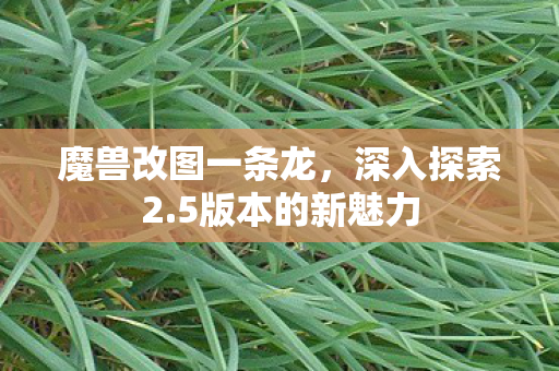 魔兽改图一条龙图片