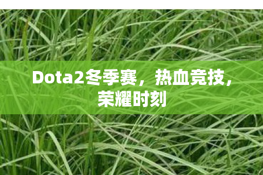 Dota2冬季赛图片