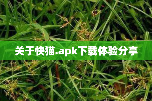 apk下载体验分享图片