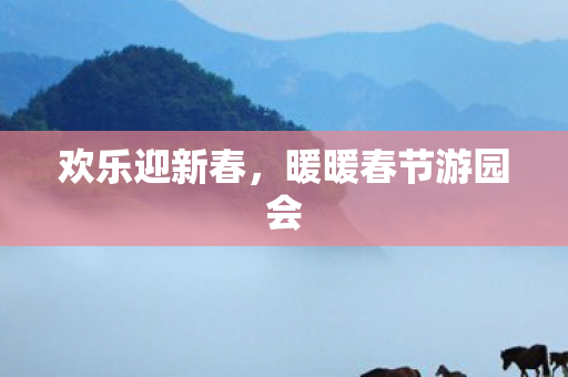 暖暖春节游园会图片