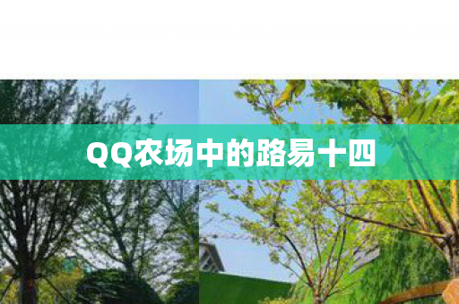 QQ农场中的路易十四图片