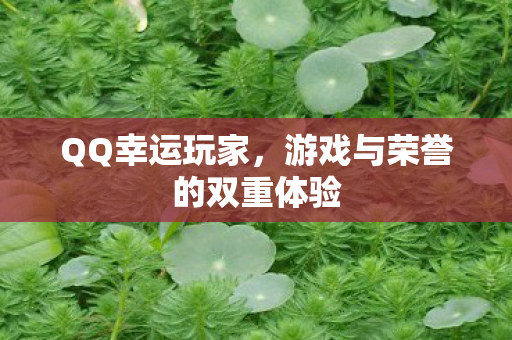 游戏与荣誉的双重体验图片
