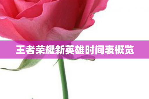 王者荣耀新英雄时间表概览图片