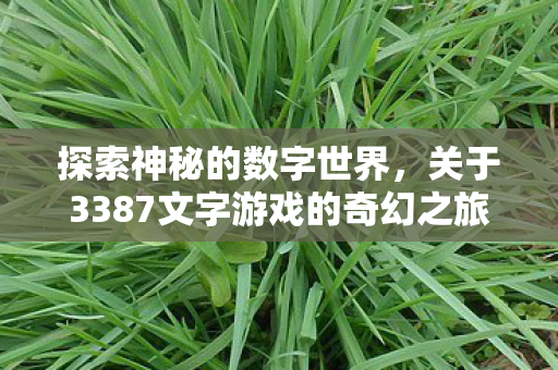 关于3387文字游戏的奇幻之旅图片
