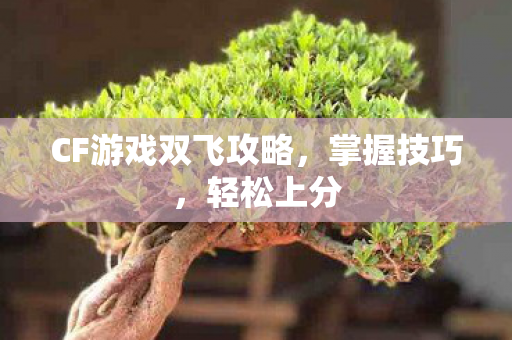 CF游戏双飞攻略图片
