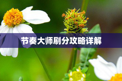 节奏大师刷分攻略详解图片
