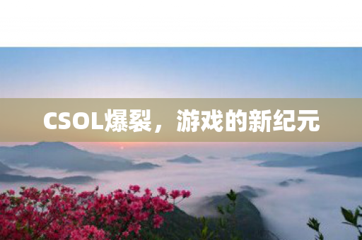 CSOL爆裂图片