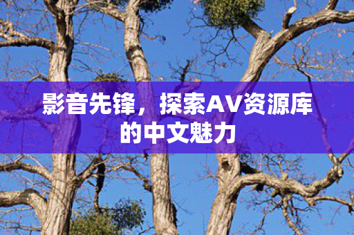 探索AV资源库的中文魅力图片