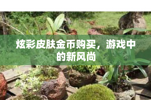 炫彩皮肤金币购买图片