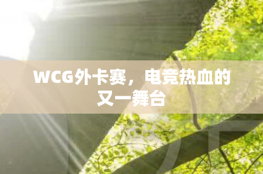 电竞热血的又一舞台图片