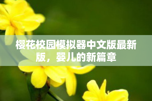 樱花校园模拟器中文版最新版图片