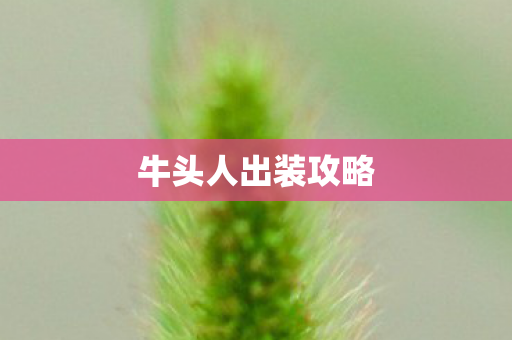 牛头人出装攻略图片