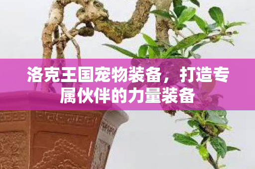 打造专属伙伴的力量装备图片