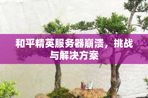 和平精英服务器崩溃图片
