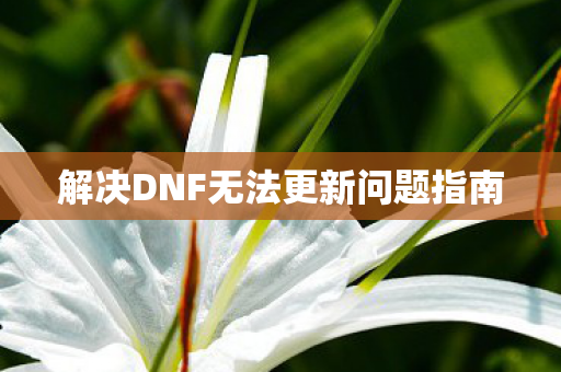 解决DNF无法更新问题指南图片