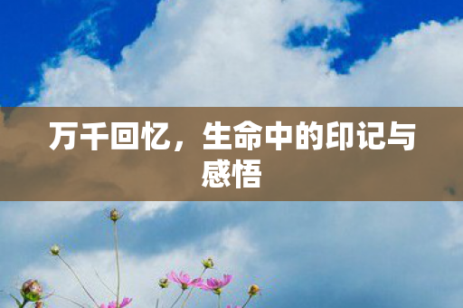 生命中的印记与感悟图片