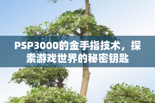 PSP3000的金手指技术图片