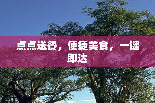 点点送餐图片