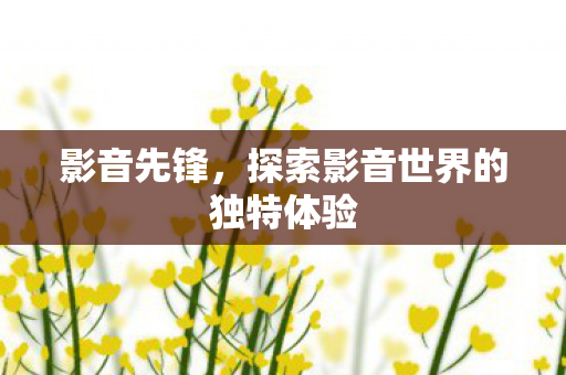 探索影音世界的独特体验图片
