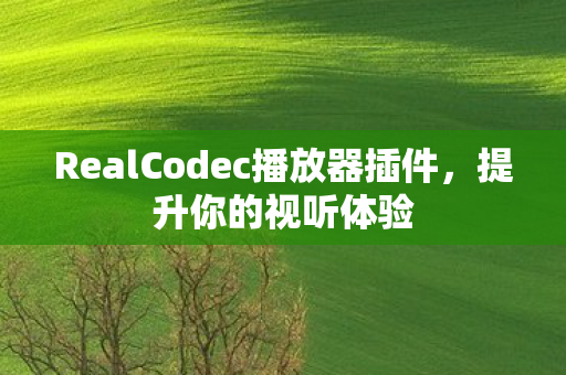 RealCodec播放器插件图片