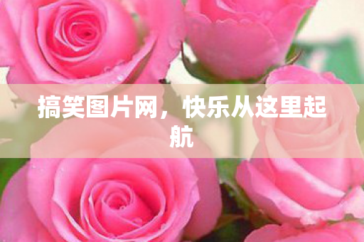 快乐从这里起航图片