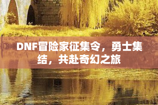 DNF冒险家征集令图片