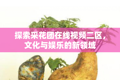 探索采花团在线视频二区图片