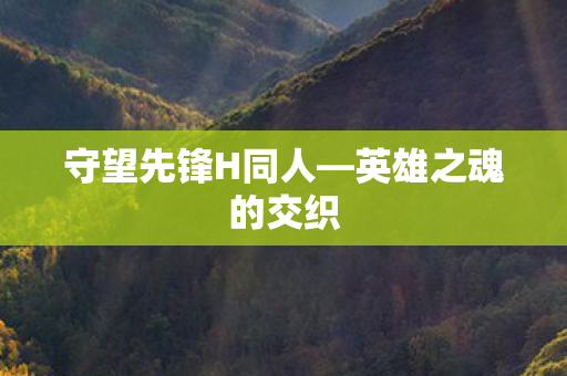 守望先锋H同人图片