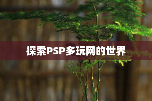 探索PSP多玩网的世界图片