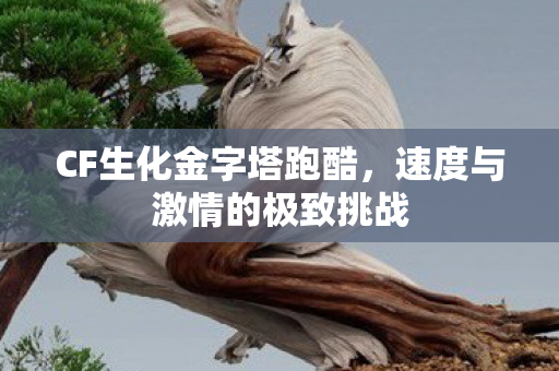 速度与激情的极致挑战图片