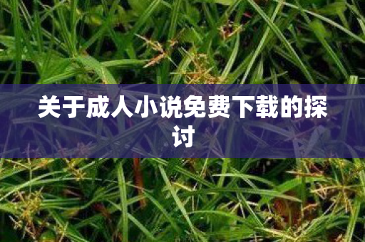 关于成人小说免费下载的探讨图片