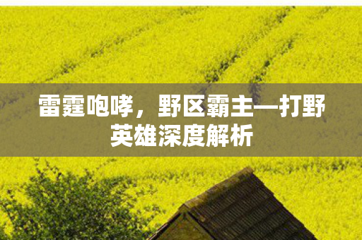 打野英雄深度解析图片