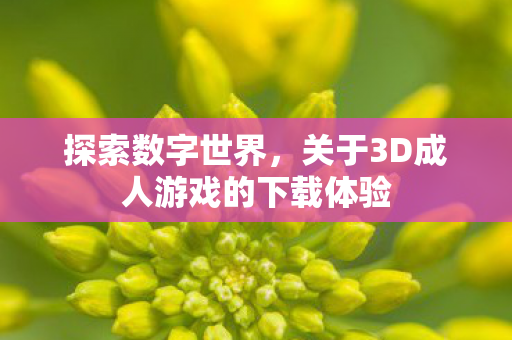 关于3D成人游戏的下载体验图片