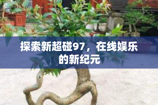 在线娱乐的新纪元图片