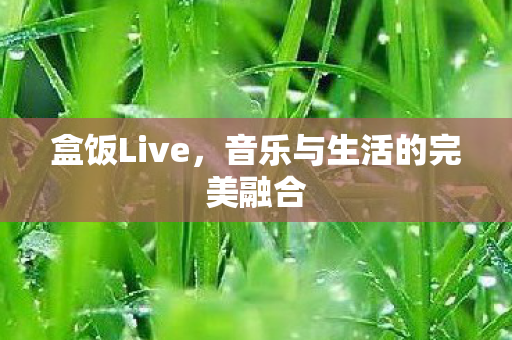 音乐与生活的完美融合图片