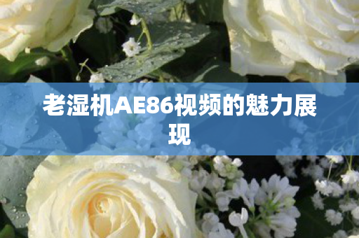 老湿机AE86视频的魅力展现图片