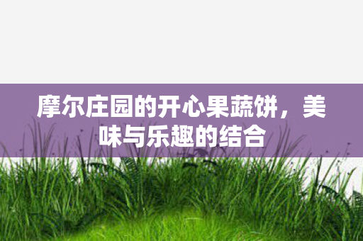 摩尔庄园的开心果蔬饼图片
