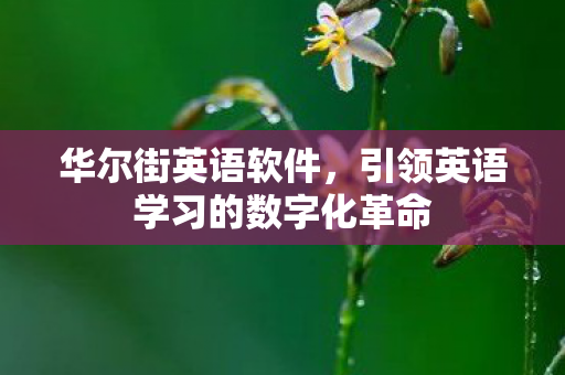 引领英语学习的数字化革命图片