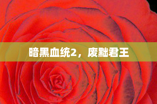 暗黑血统2图片
