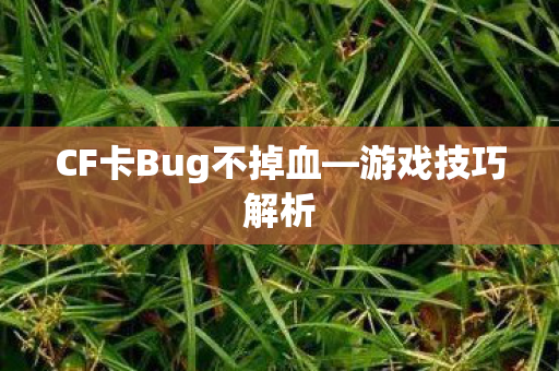 CF卡Bug不掉血图片