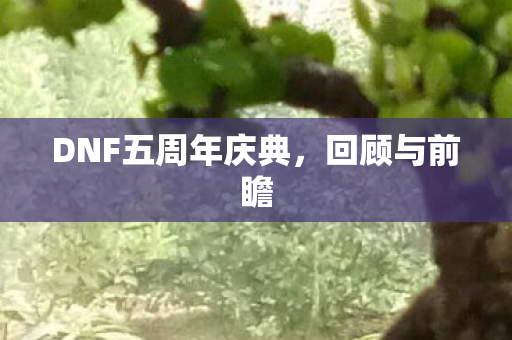 DNF五周年庆典图片