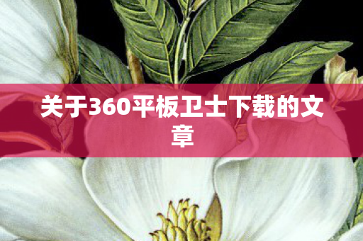 关于360平板卫士下载的文章图片