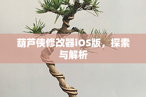 葫芦侠修改器iOS版图片